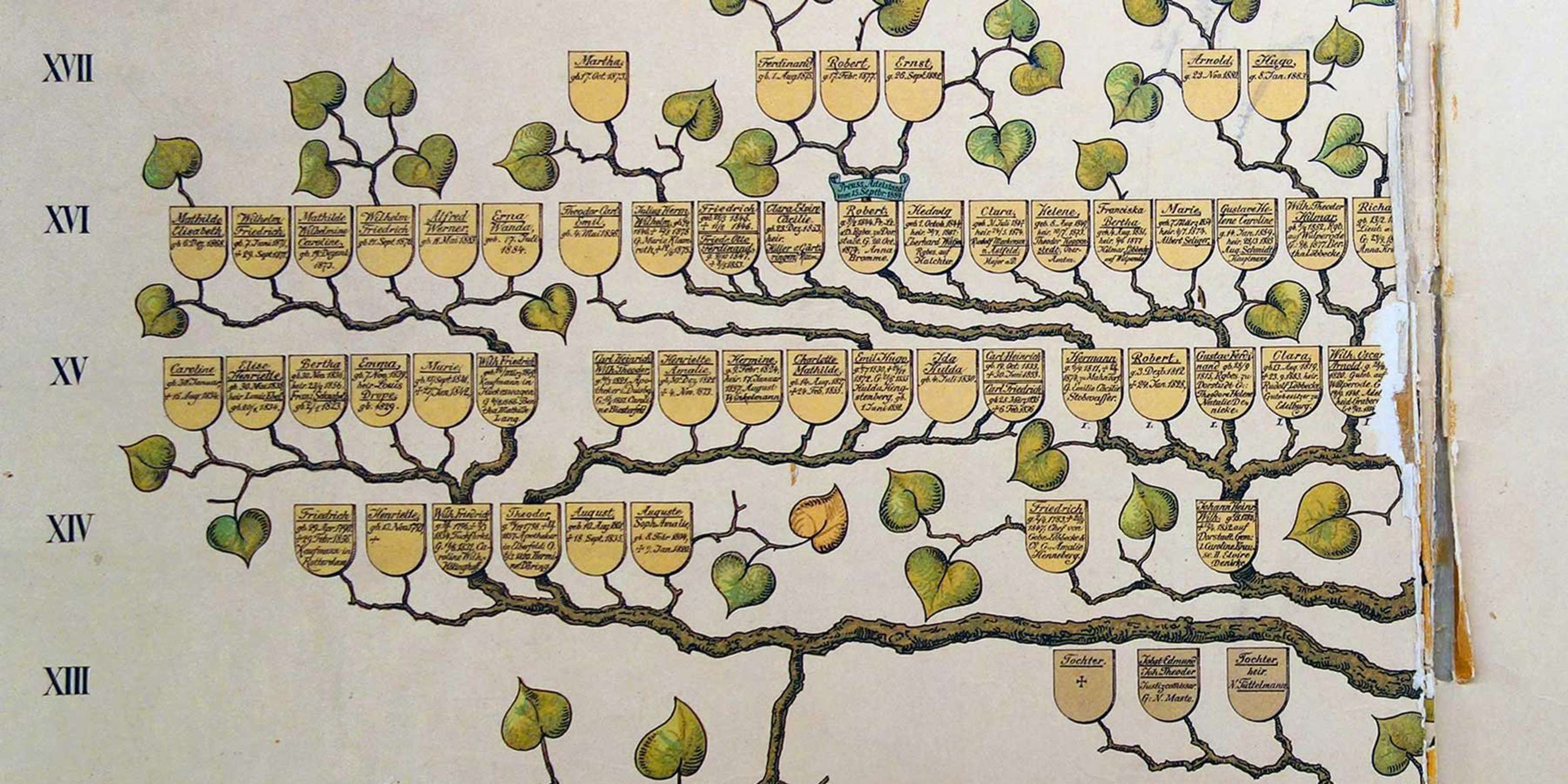 Click to enlarge Family Tree 1889